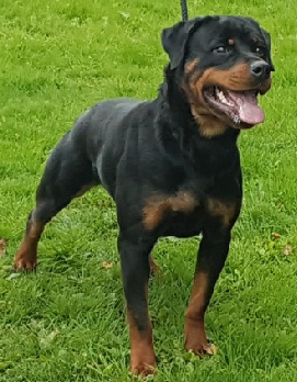 Afa... click to see more